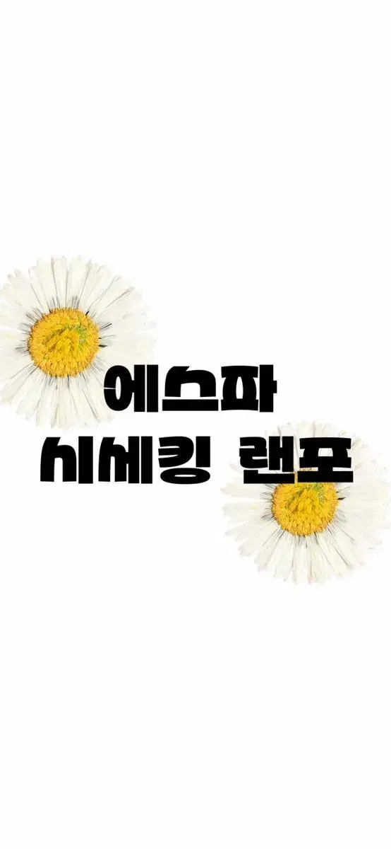 에스파 손해없는 시세킹 랜포